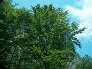 Thumbnail shows lightbox, image name shows slide